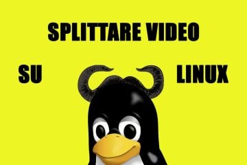 dividere video linux terminale